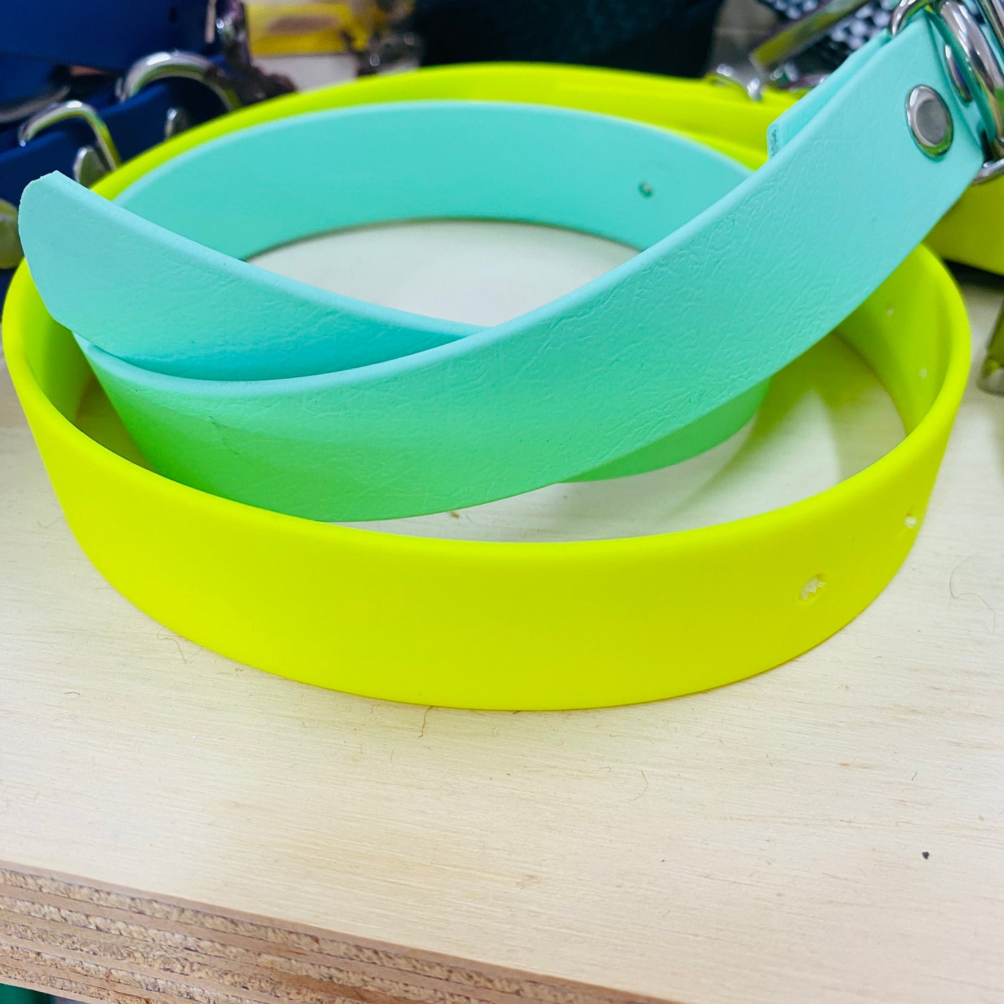Dog Collar