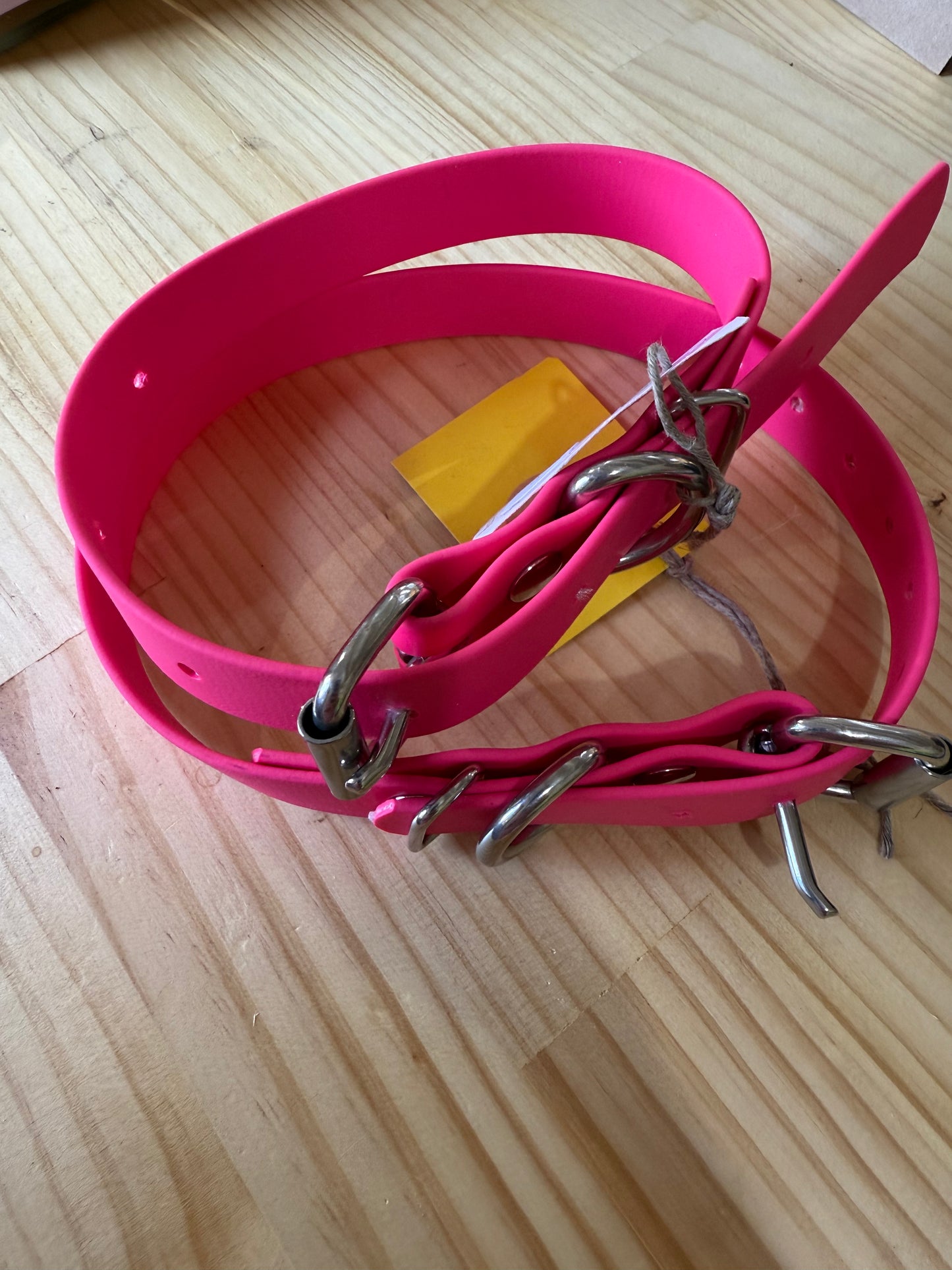 Dog Collar XL 38cm - 51cm