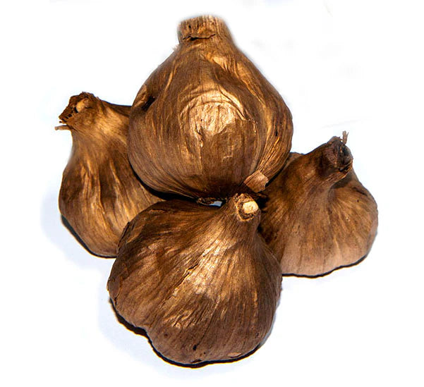 KoalaBlackGarlicBulbs