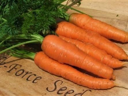 Life Force Seeds - Vegetables