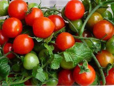 Life Force Seeds - Vegetables