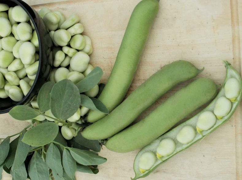 Life Force Seeds - Vegetables