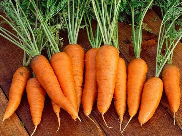 Life Force Seeds - Vegetables