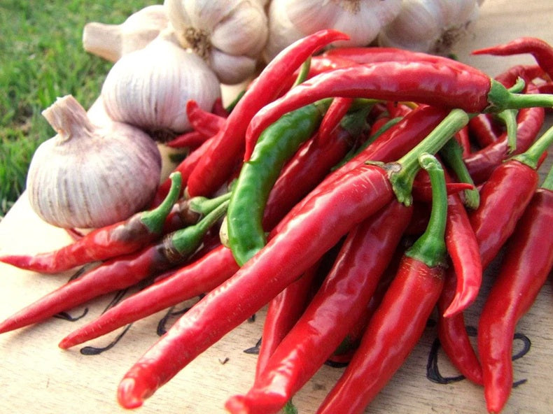 Life Force Seeds - Vegetables