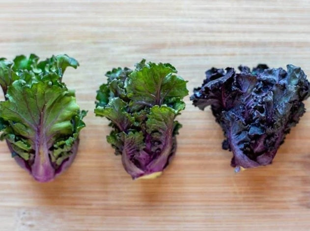 Life Force Seeds - Vegetables
