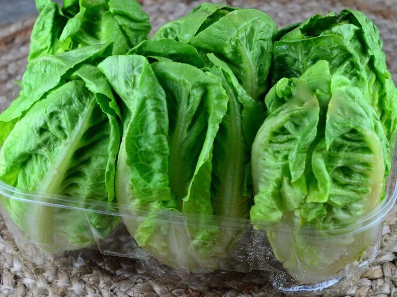Life Force Seeds - Vegetables