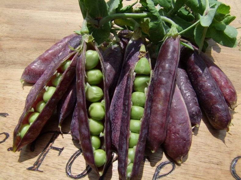 Life Force Seeds - Vegetables