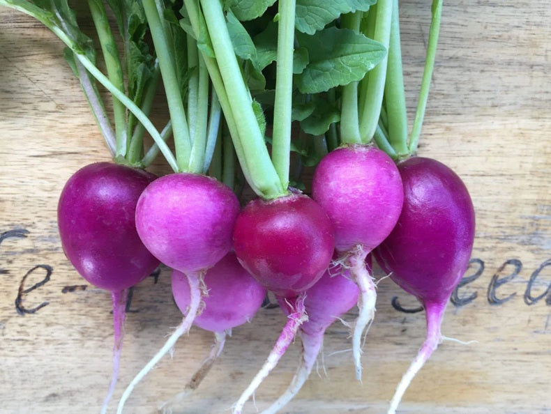 Life Force Seeds - Vegetables