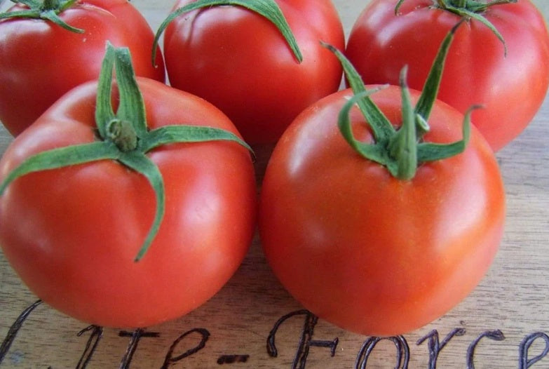 Life Force Seeds - Vegetables