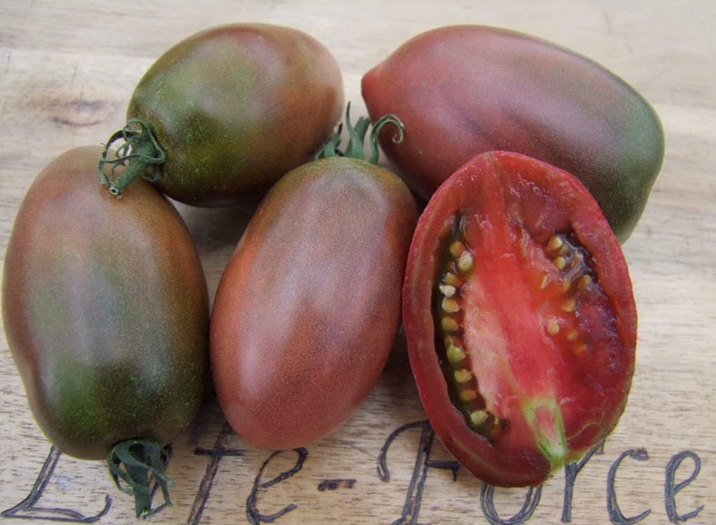Life Force Seeds - Vegetables