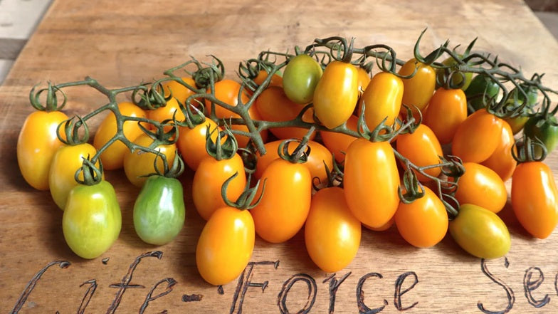 Life Force Seeds - Vegetables