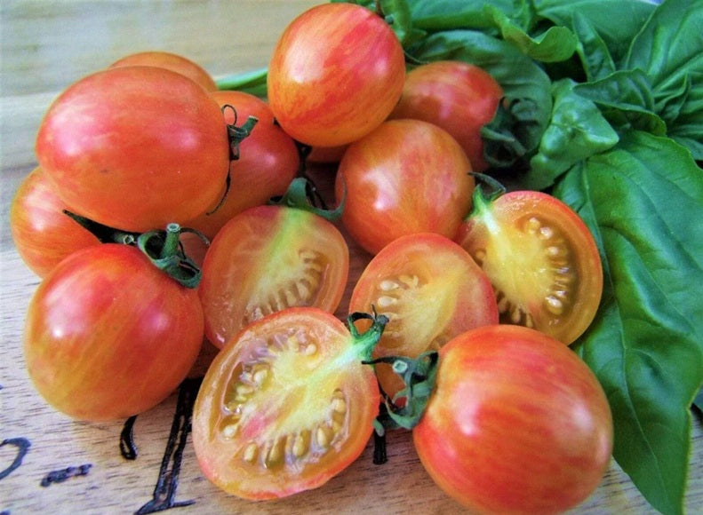 Life Force Seeds - Vegetables