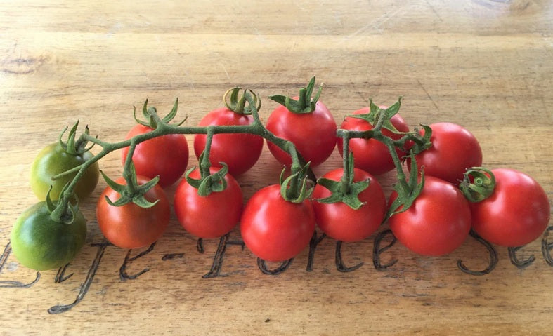 Life Force Seeds - Vegetables