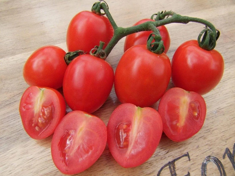 Life Force Seeds - Vegetables