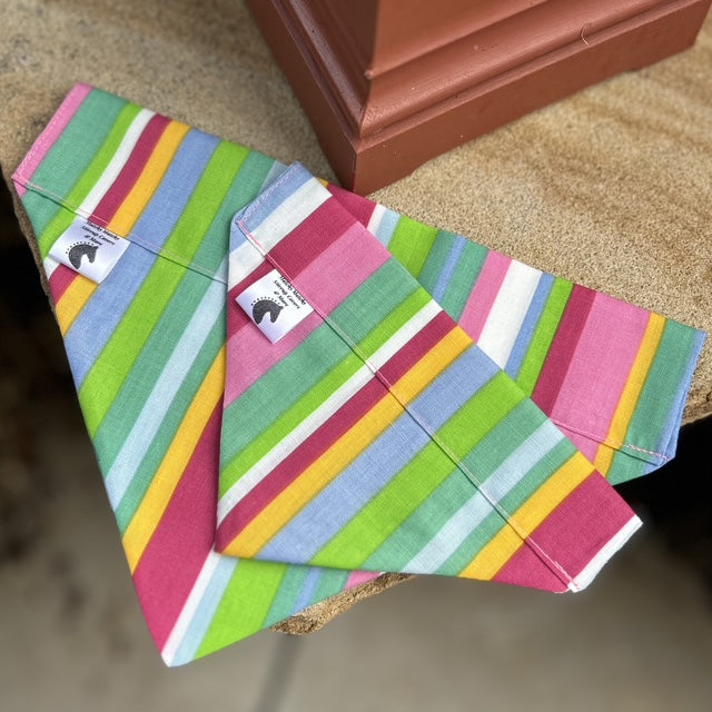 Dog Bandana Stripe Fabric by Matchy Matchy