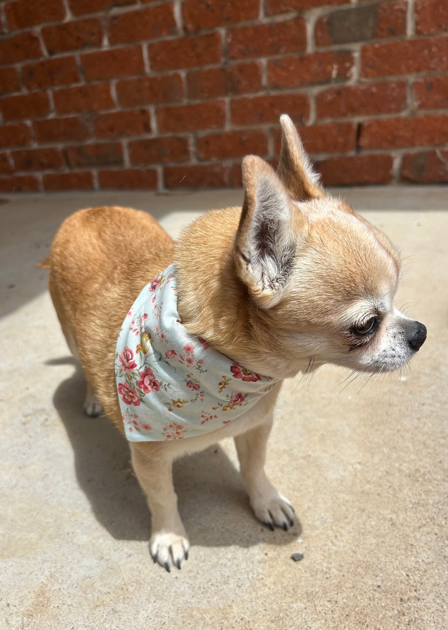 Dog Bandana Rosie Fabric by Matchy Matchy