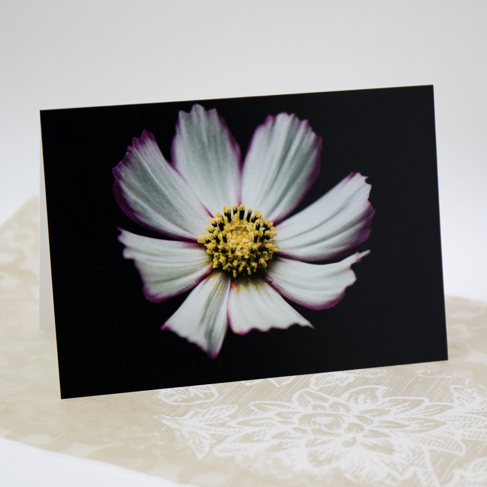 Tasha Greeting Card