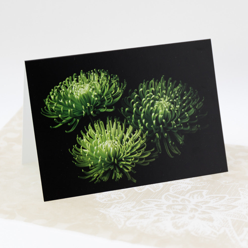 Tasha Greeting Card