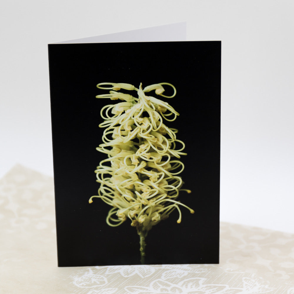 Tasha Greeting Card