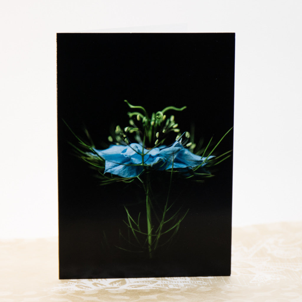 Tasha Greeting Card