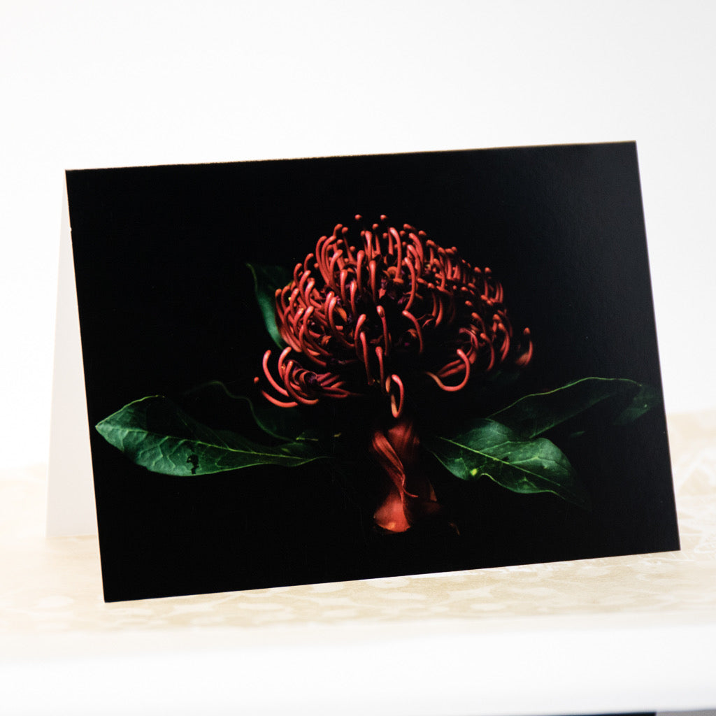 Tasha Greeting Card