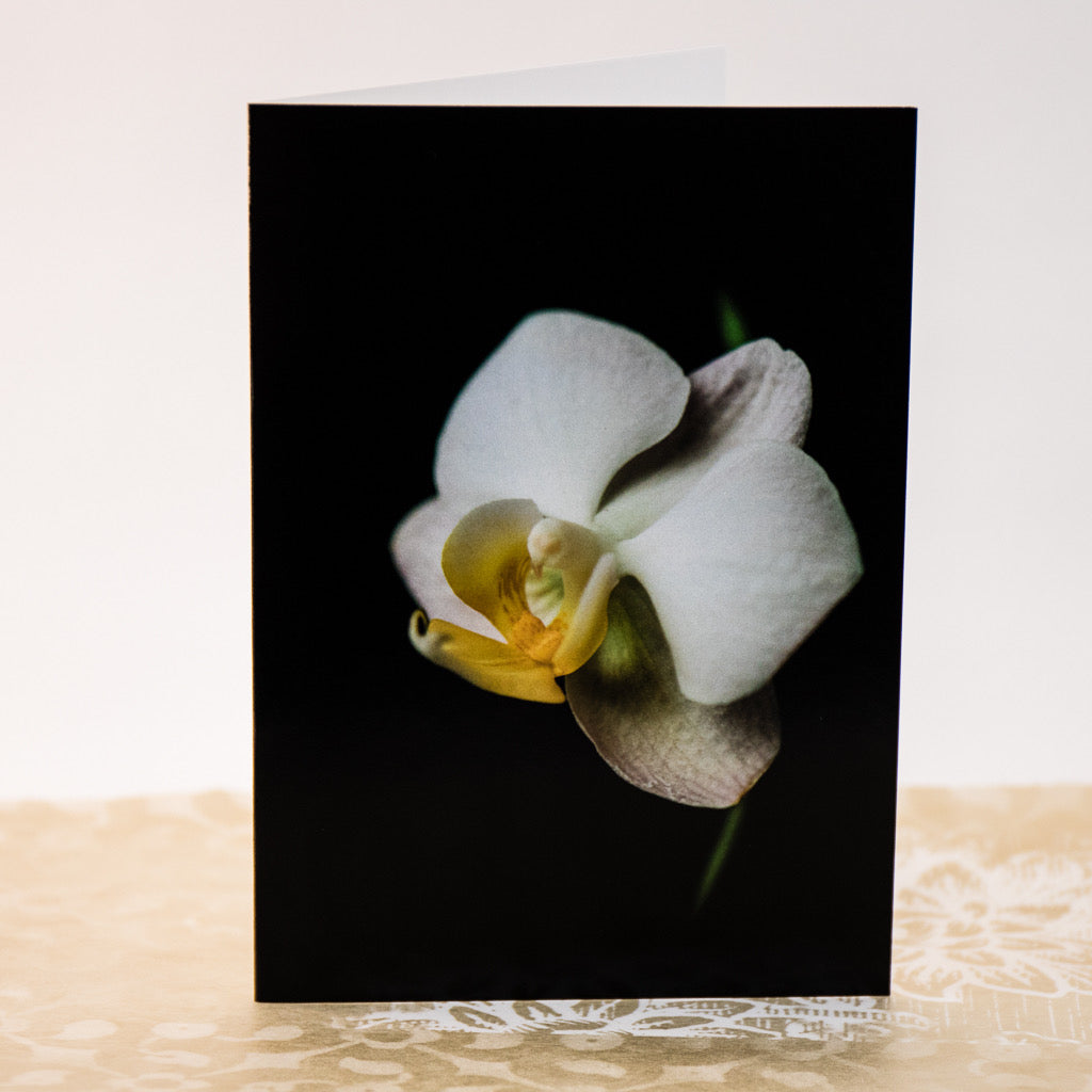 Tasha Greeting Card