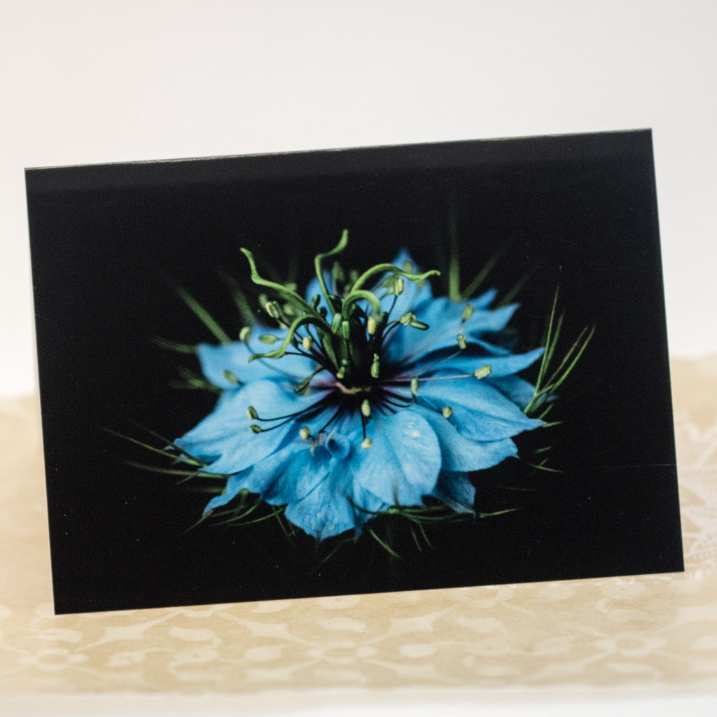 Tasha Greeting Card