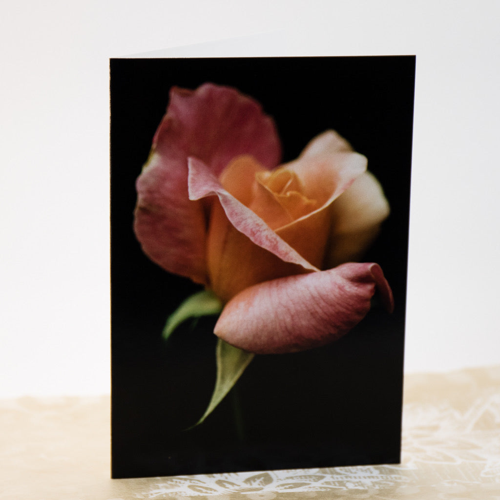 Tasha Greeting Card