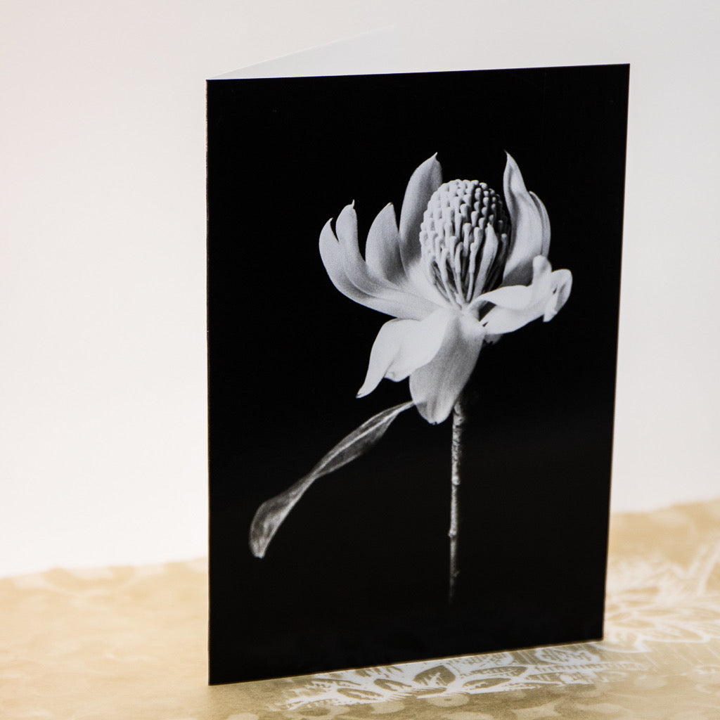 Tasha Greeting Card