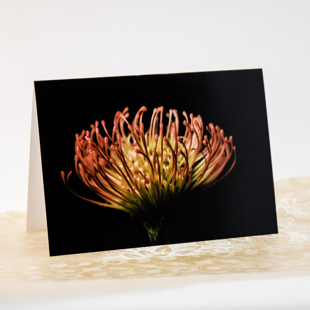 Tasha Greeting Card