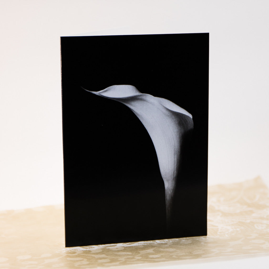 Tasha Greeting Card