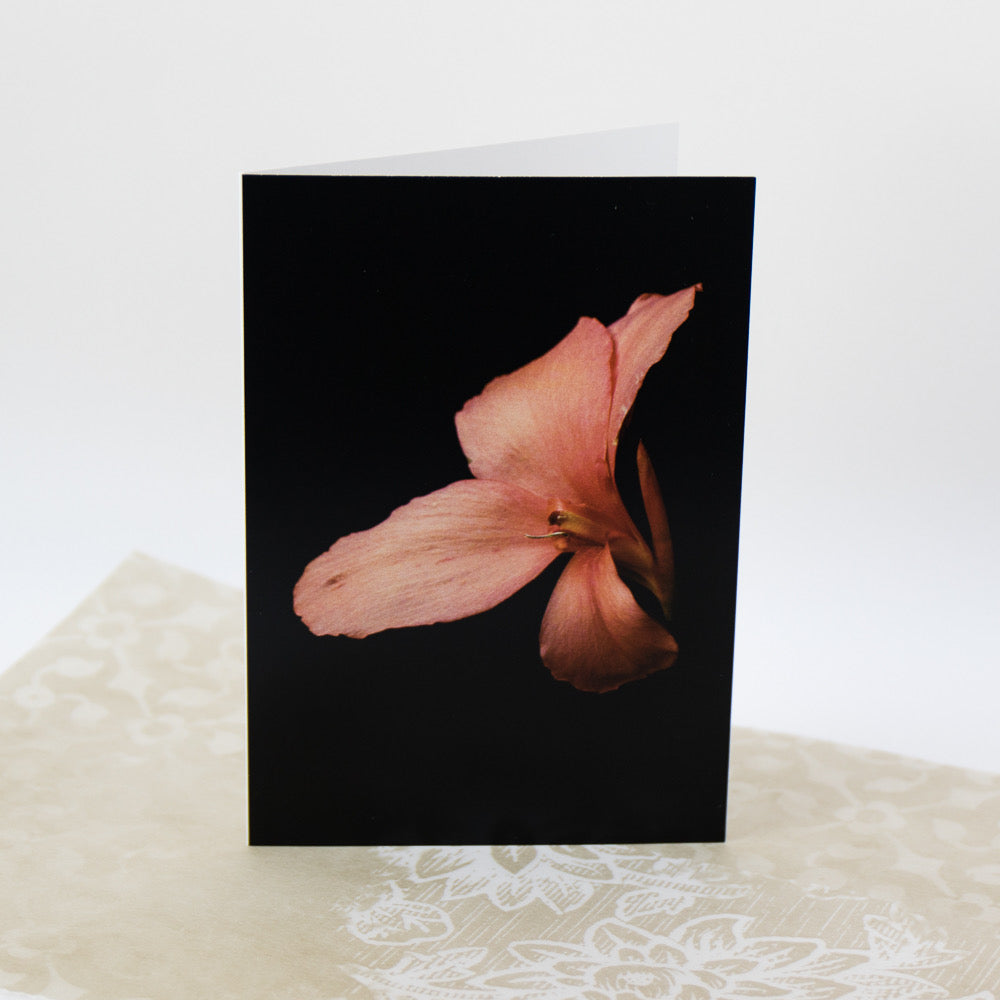 Tasha Greeting Card