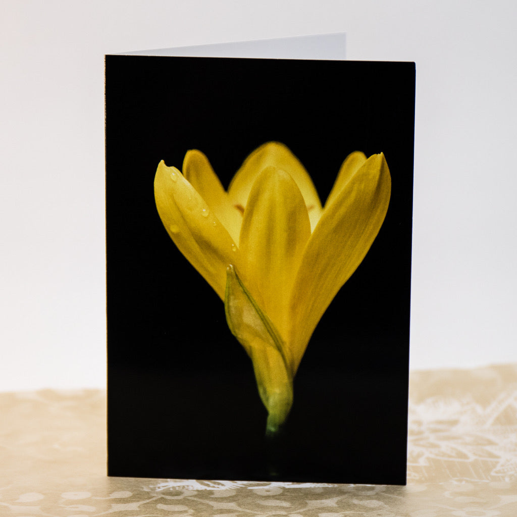 Tasha Greeting Card