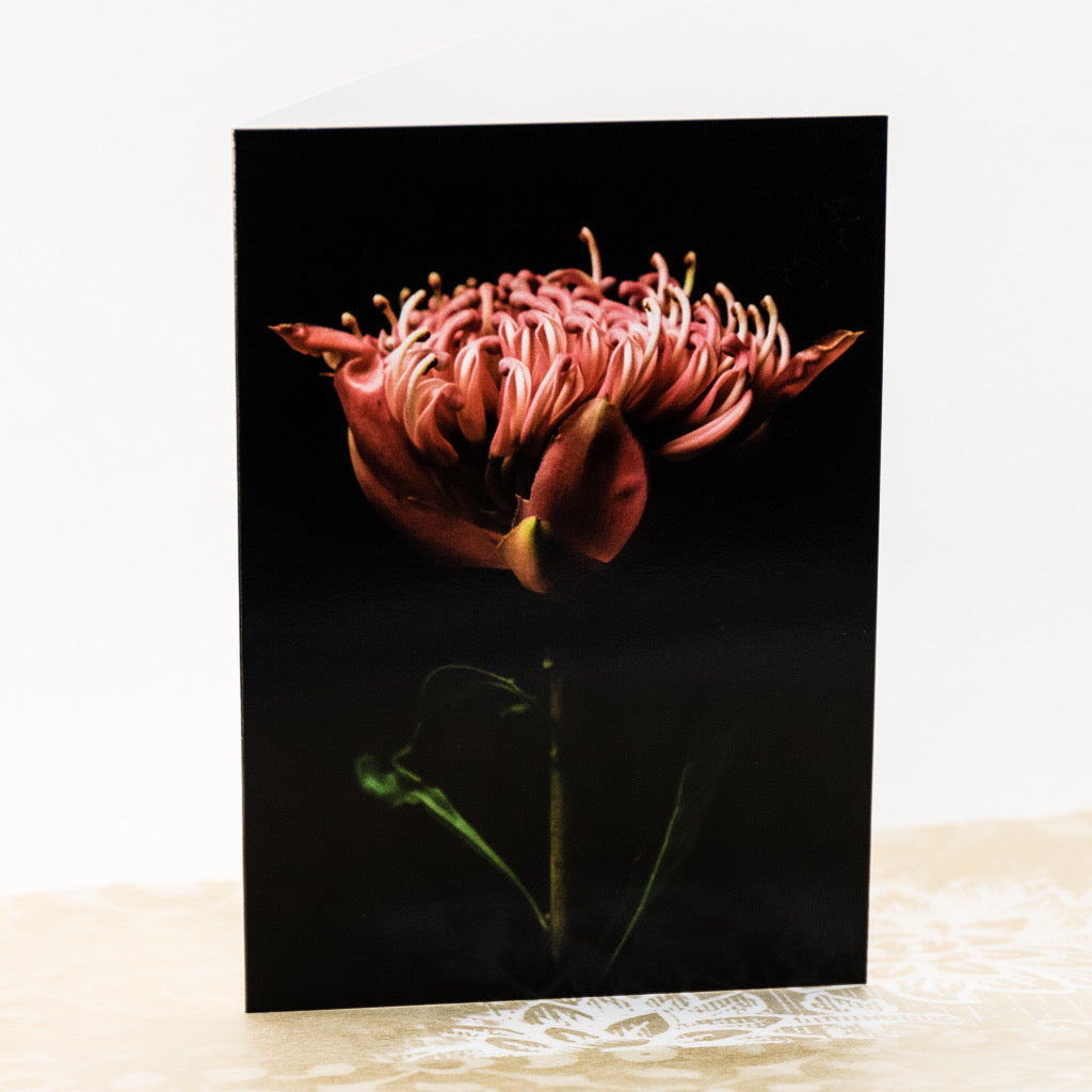 Tasha Greeting Card