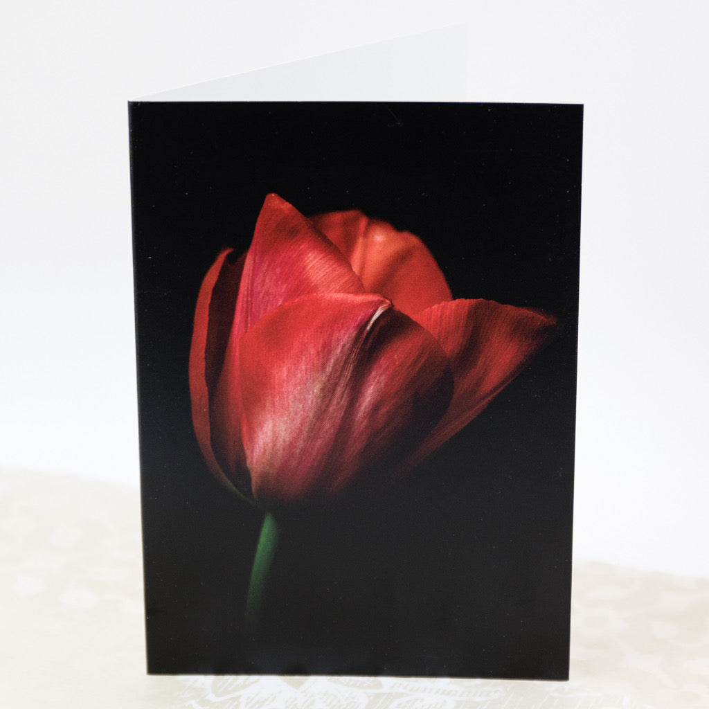 Tasha Greeting Card