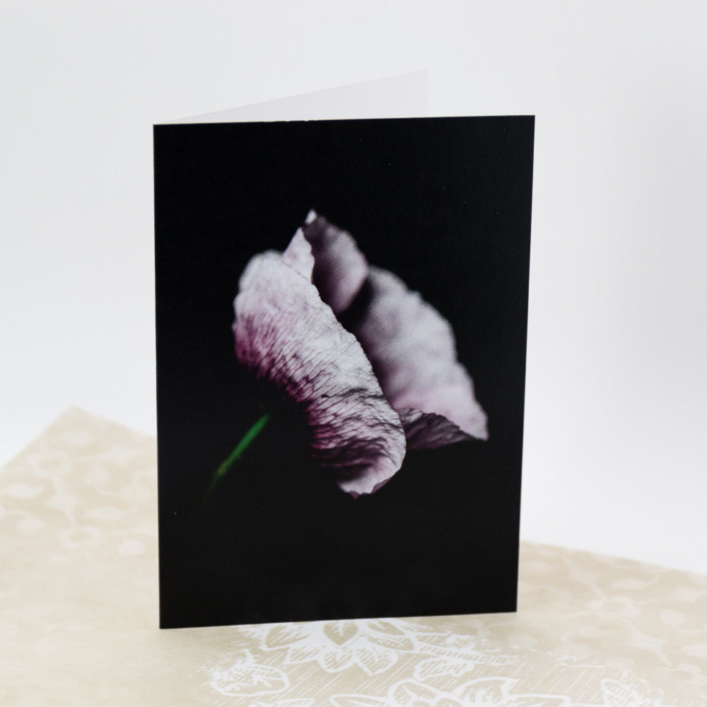 Tasha Greeting Card