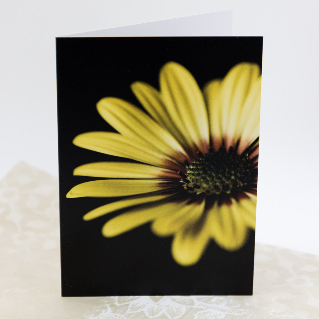 Tasha Greeting Card