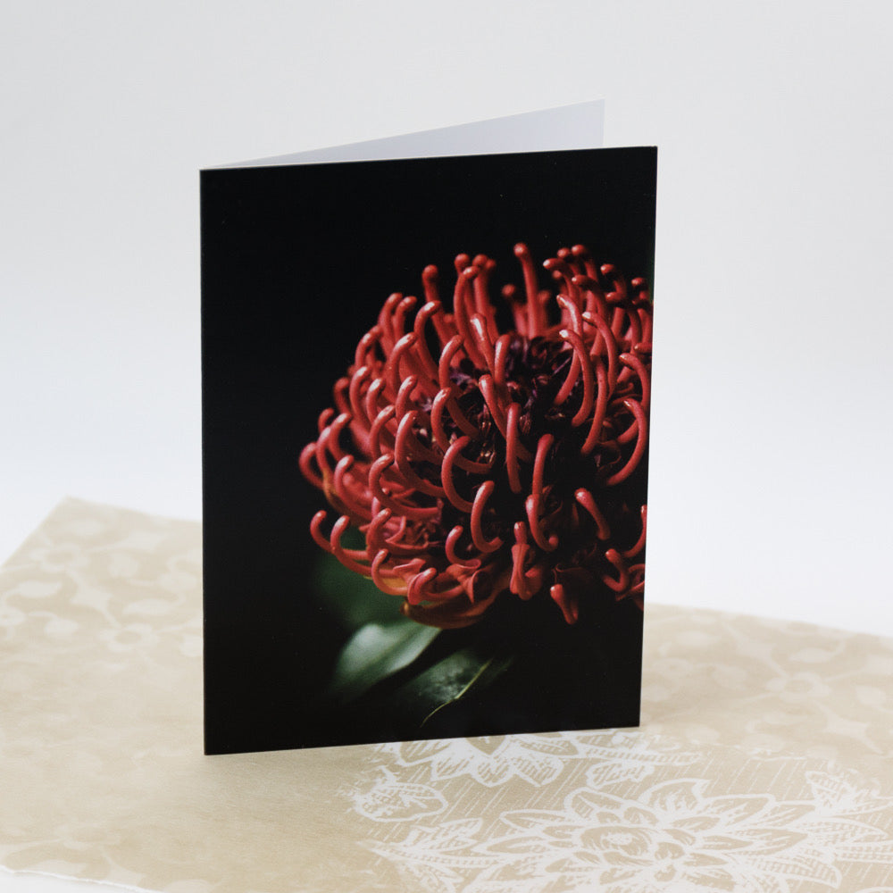 Tasha Greeting Card