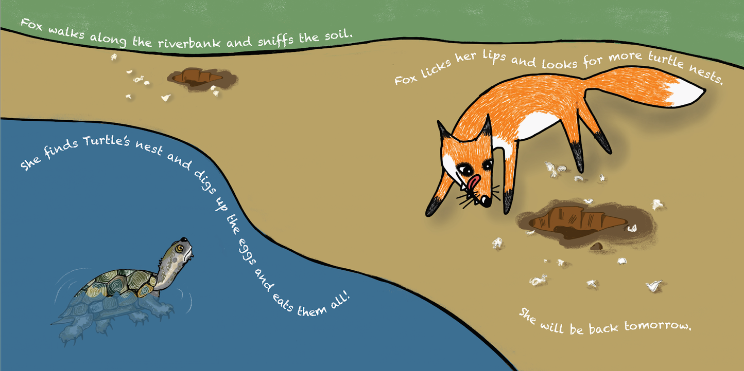 Where are all the baby turtles