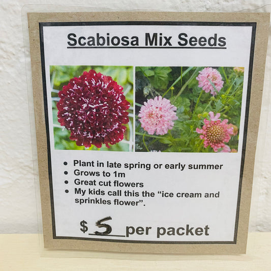 Scabiosa Mix Seeds by Creekland Flowers