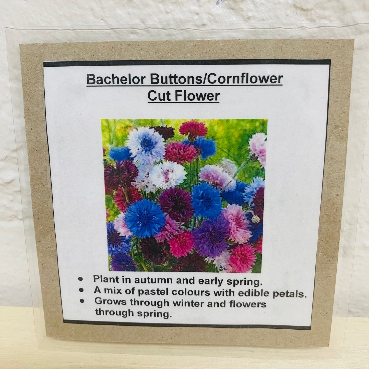 Cornflower Mix by Creekland Flowers