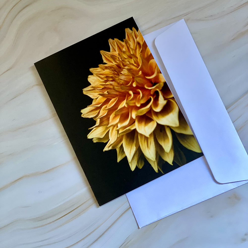 Tasha Photographic Cards