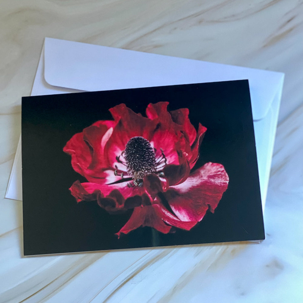Tasha Photographic Cards
