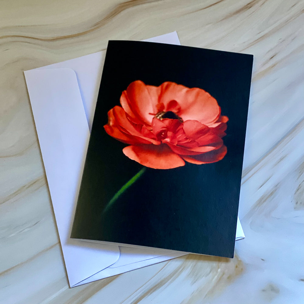 Tasha Photographic Cards