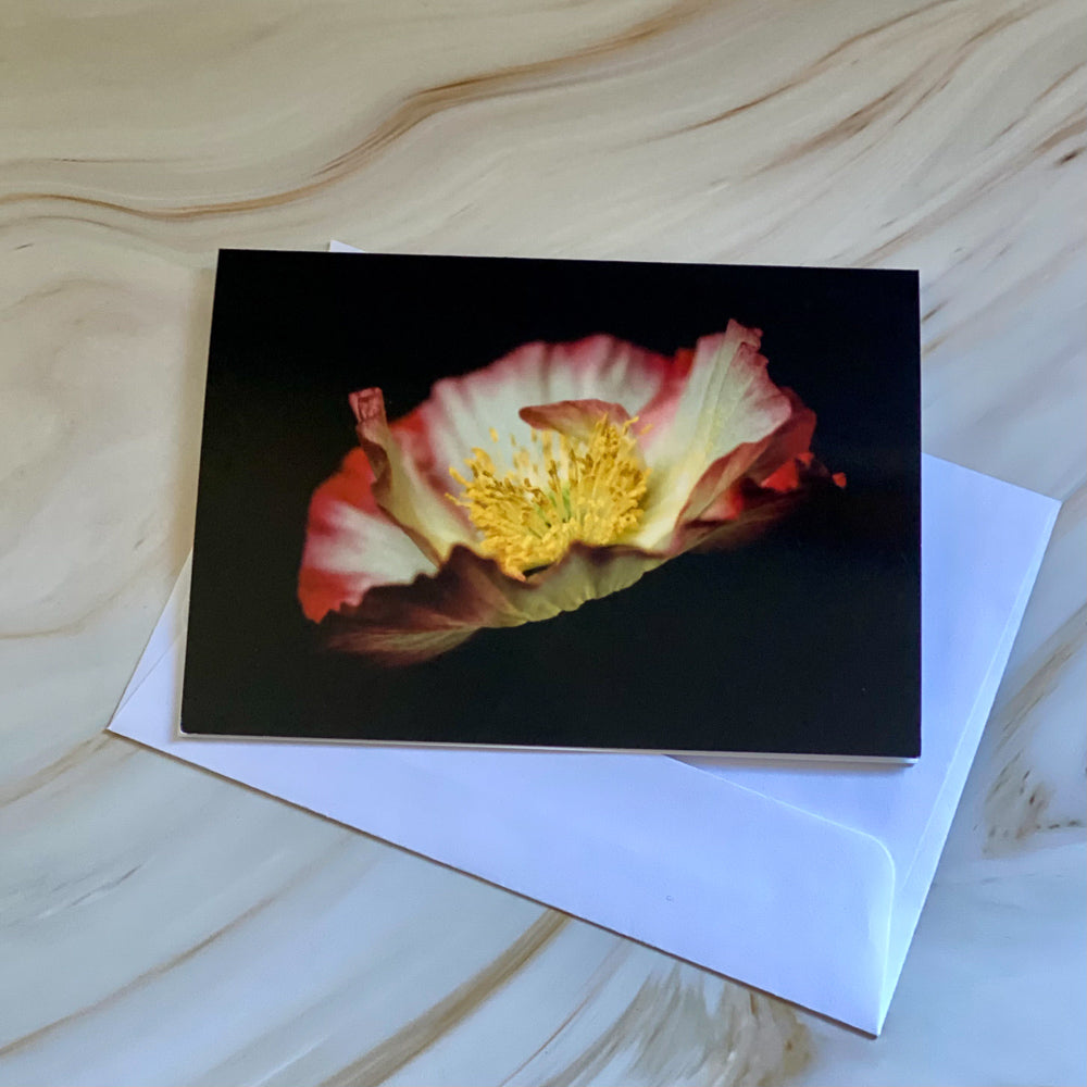 Tasha Photographic Cards