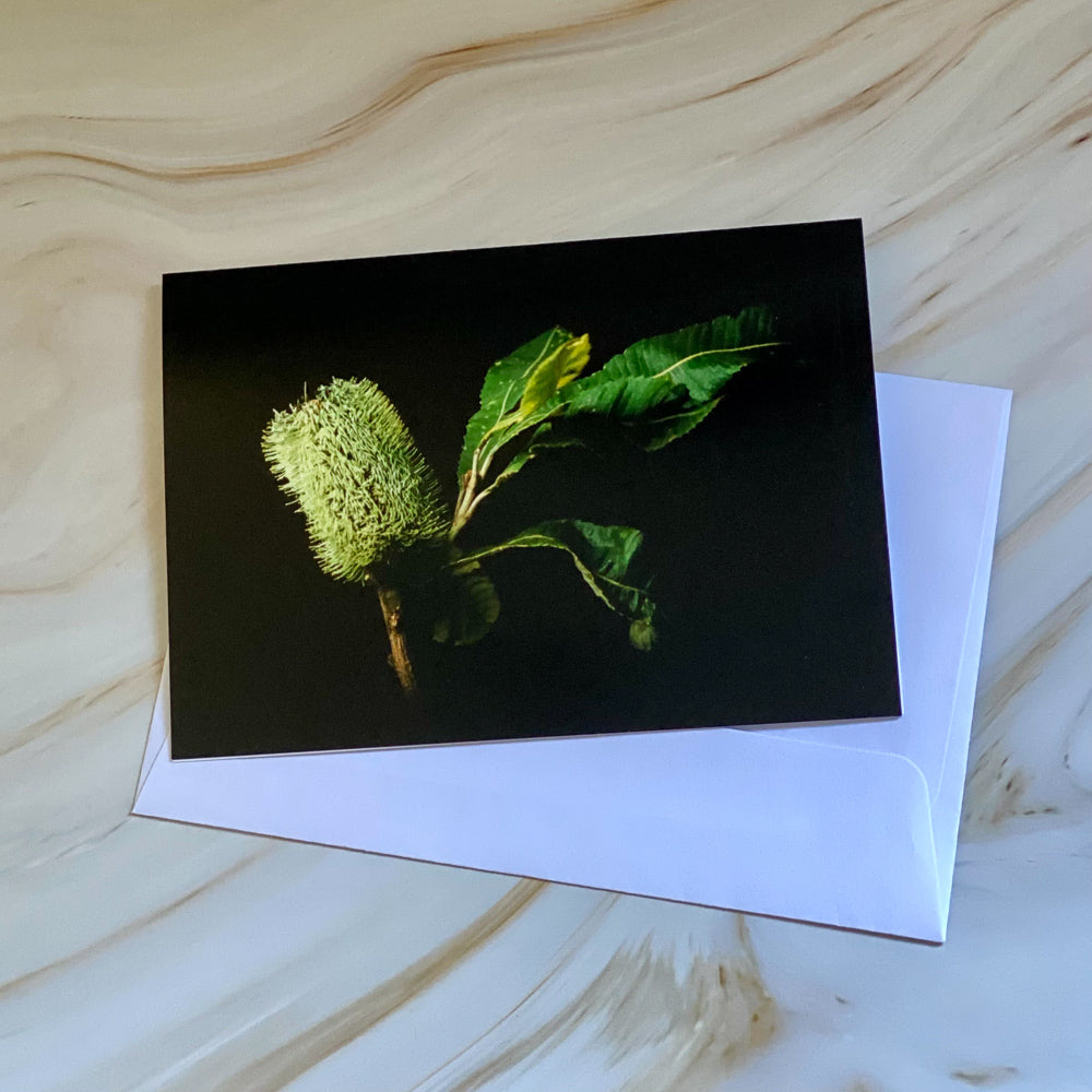 Tasha Photographic Cards