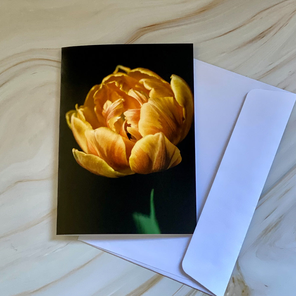 Tasha Photographic Cards
