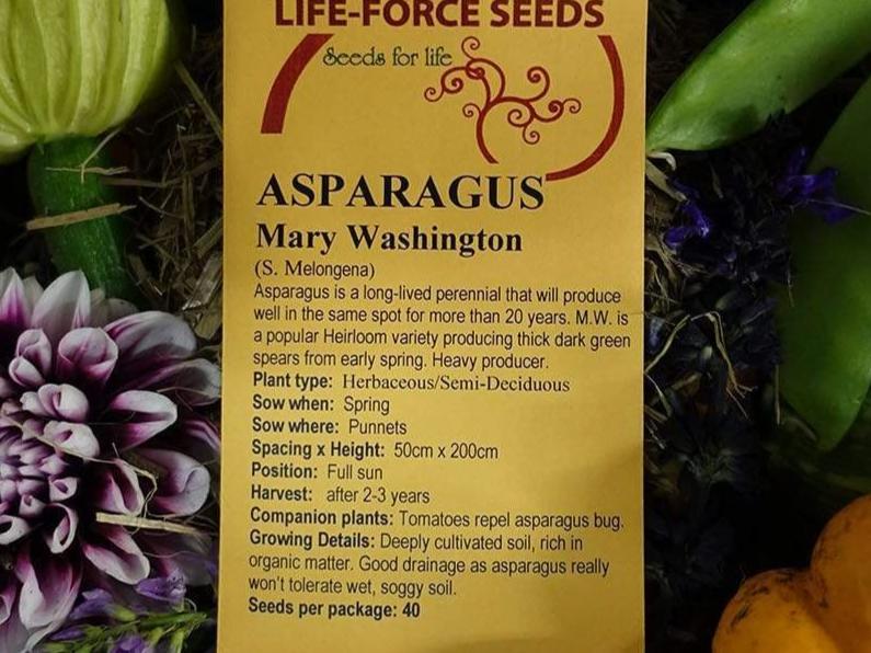 Life Force Seeds Vegetables