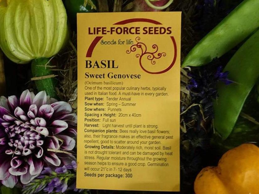 Life Force Seeds Herbs