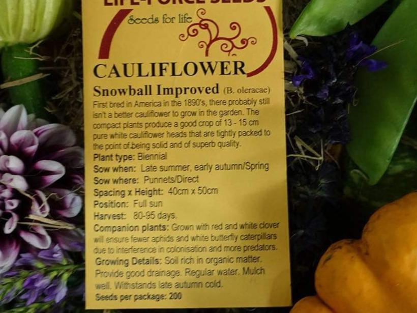 Life Force Seeds Vegetables